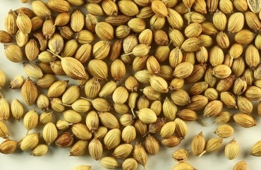 Coriander Seeds